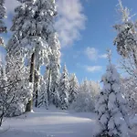 Harz-sonne 2 Lägenhet Altenau (Lower-Saxony)