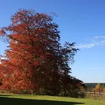 Harz-sonne 2