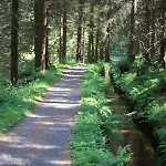 Lägenhet Harz-sonne 2 *