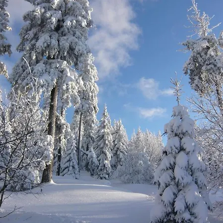 Harz-sonne 2 Appartamento Altenau (Lower-Saxony)