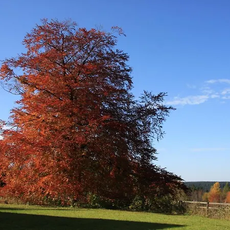Harz-sonne 2