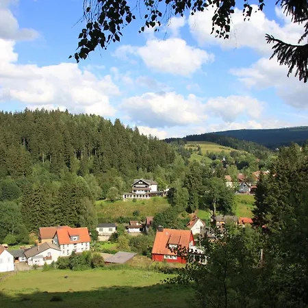 Apartment Harz-sonne 2 *