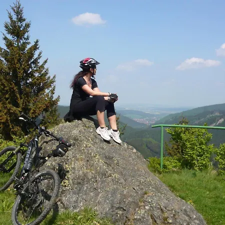 Daire Harz-sonne 2 Altenau (Lower-Saxony)