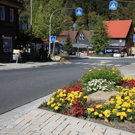 شقة Harz-sonne 2 *