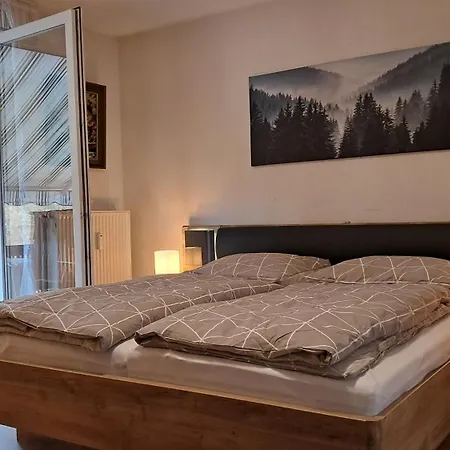 Harz-sonne 2 Appartamento *