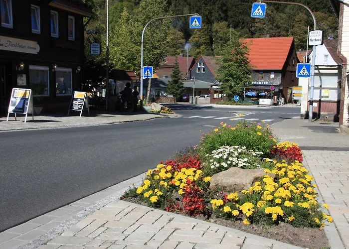 Apartamento Harz-sonne 2 *